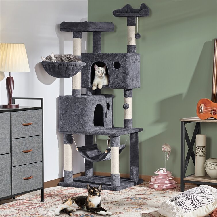 Cat store condo clearance